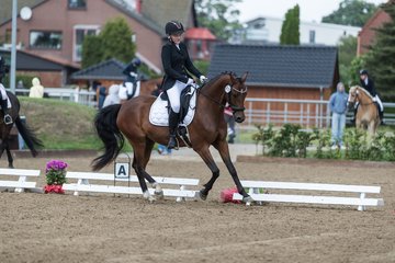 Bild 515 - Pony Akademie Turnier
